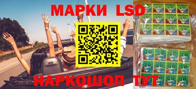 apvp Славгород