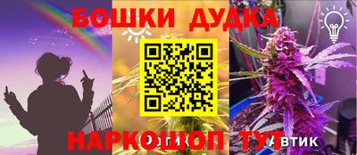 apvp Славгород