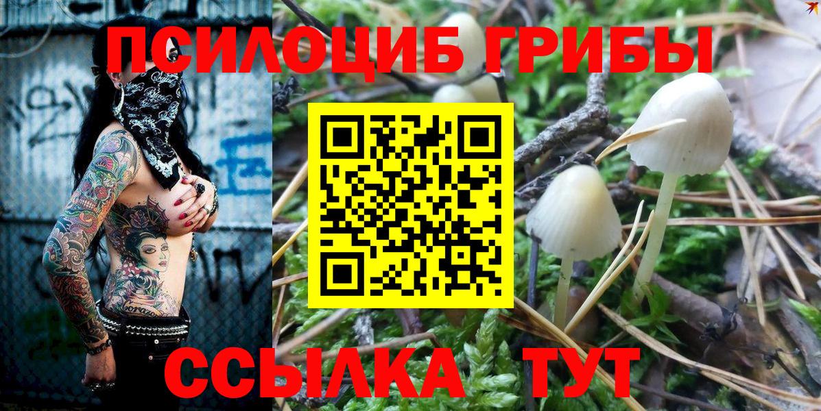 Псилоцибиновые грибы Psilocybe  сколько стоит  Самара  Галлюциногенные грибы Magic Shrooms  Вход с VPN 